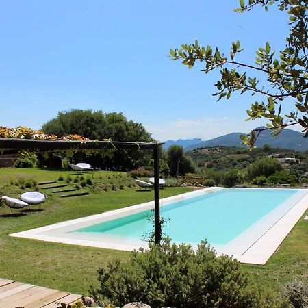 Albero Capovolto Bed & Breakfast Golfo Aranci Luaran gambar