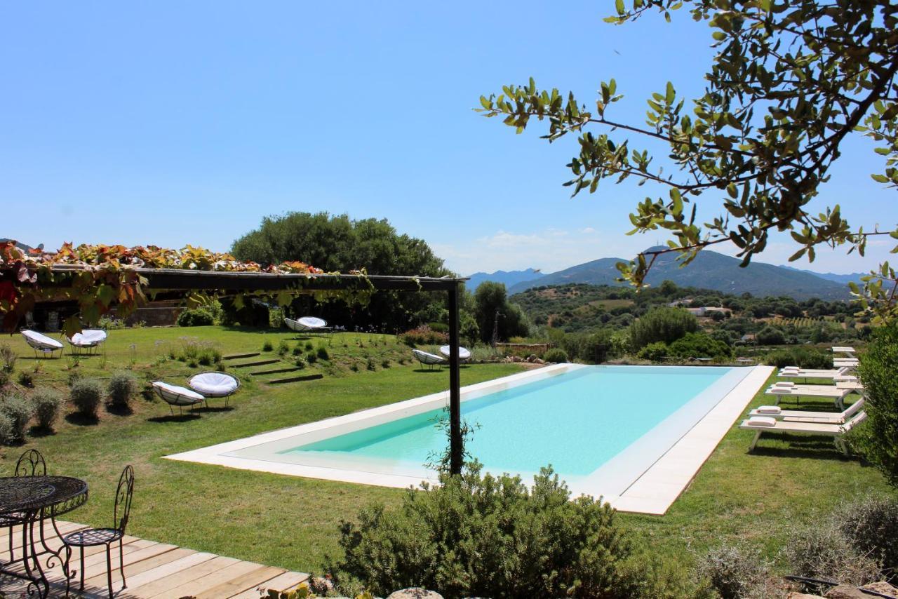 Albero Capovolto Bed & Breakfast Golfo Aranci Luaran gambar