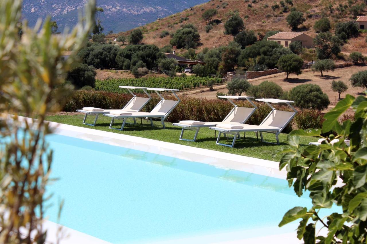Albero Capovolto Bed & Breakfast Golfo Aranci Luaran gambar