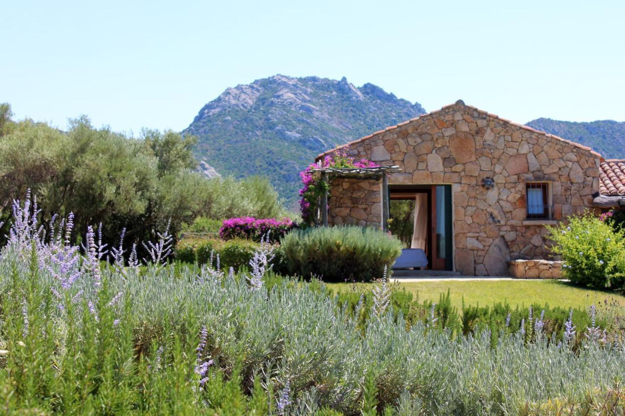 Albero Capovolto Bed & Breakfast Golfo Aranci Luaran gambar
